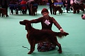 Crufts2011 647